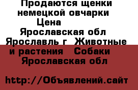 Продаются щенки немецкой овчарки › Цена ­ 5 000 - Ярославская обл., Ярославль г. Животные и растения » Собаки   . Ярославская обл.